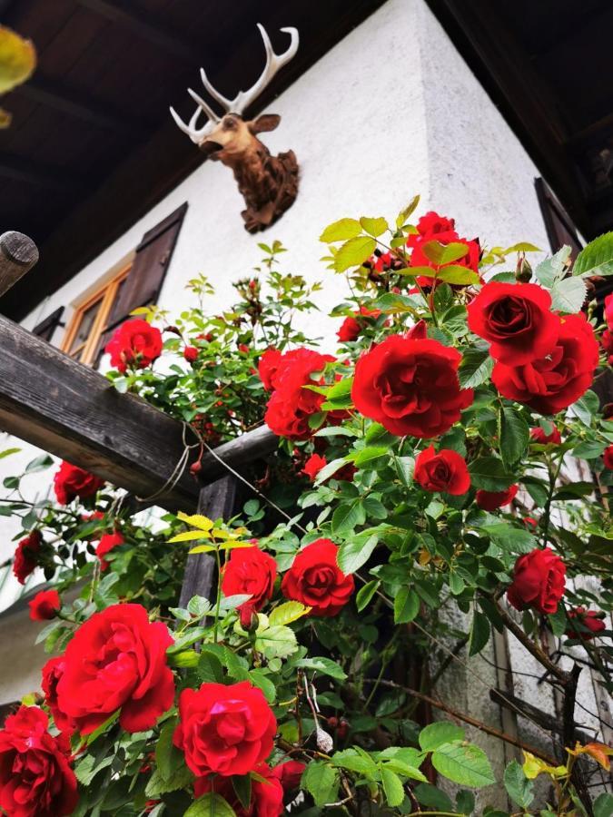 Gaestehaus Neu Am Passionstheater Oberammergau Exteriör bild